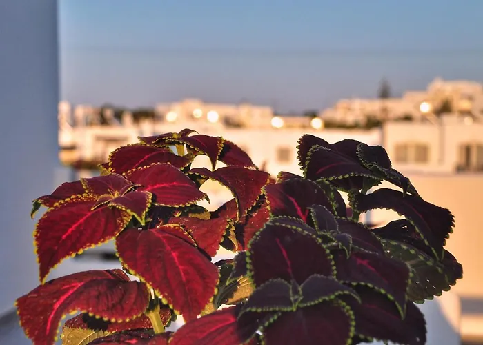 Hotel Quartano Luxury Cycladic Residence, Adults Only