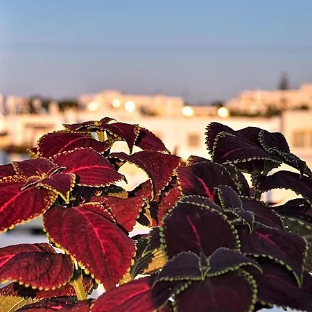 Quartano Luxury Cycladic Residence, Adults Only Hotel 3*