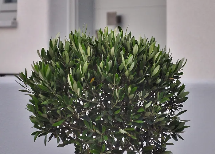 Quartano Luxury Cycladic Residence, Adults Only